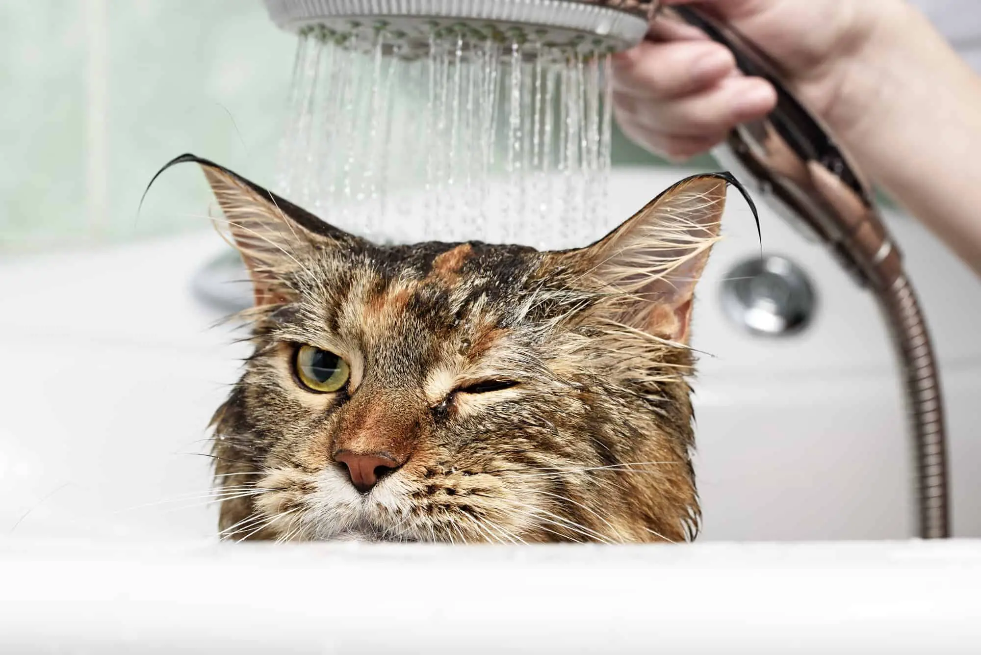 Kat Wassen • De 5 Beste Tips Voor Een Zorgeloos Bad Plezier!